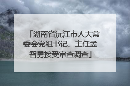 湖南省沅江市人大常委会党组书记、主任孟智勇接受审查调查