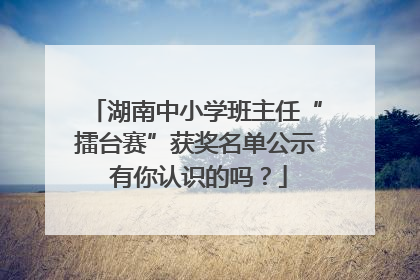 湖南中小学班主任“擂台赛”获奖名单公示 有你认识的吗？