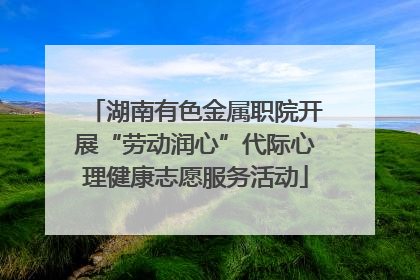 湖南有色金属职院开展“劳动润心”代际心理健康志愿服务活动
