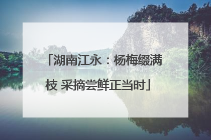 湖南江永：杨梅缀满枝 采摘尝鲜正当时