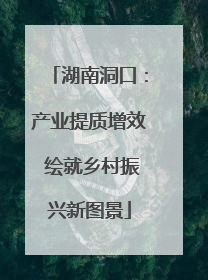 湖南洞口：产业提质增效 绘就乡村振兴新图景
