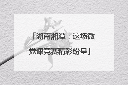 湖南湘潭：这场微党课竞赛精彩纷呈