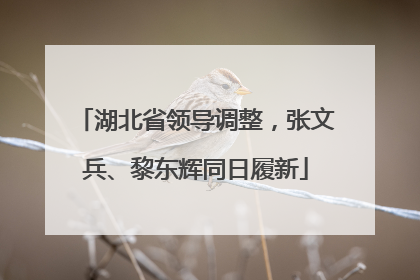 湖北省领导调整，张文兵、黎东辉同日履新