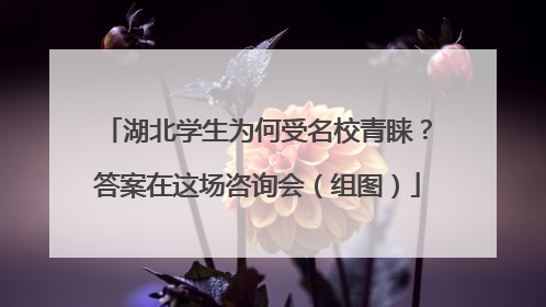 湖北学生为何受名校青睐？答案在这场咨询会（组图）