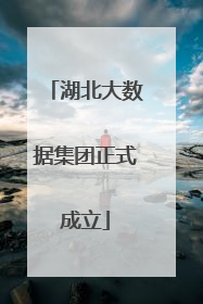 湖北大数据集团正式成立