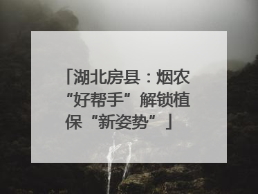 湖北房县：烟农“好帮手”解锁植保“新姿势”