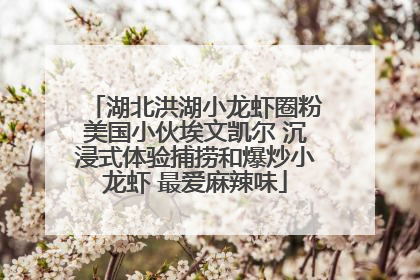 湖北洪湖小龙虾圈粉美国小伙埃文凯尔 沉浸式体验捕捞和爆炒小龙虾 最爱麻辣味