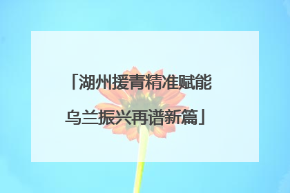 湖州援青精准赋能 乌兰振兴再谱新篇