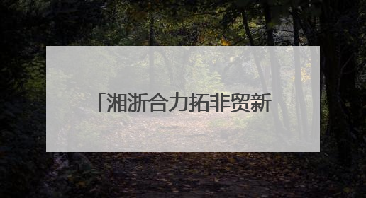 湘浙合力拓非贸新局 雨花义乌携手共建中非贸易新通道