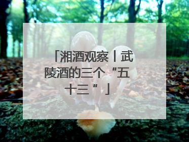 湘酒观察丨武陵酒的三个“五十三 ”