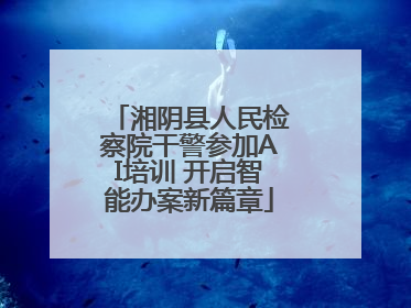 湘阴县人民检察院干警参加AI培训 开启智能办案新篇章