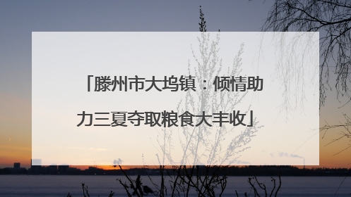 滕州市大坞镇：倾情助力三夏夺取粮食大丰收