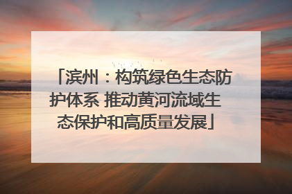 滨州：构筑绿色生态防护体系 推动黄河流域生态保护和高质量发展