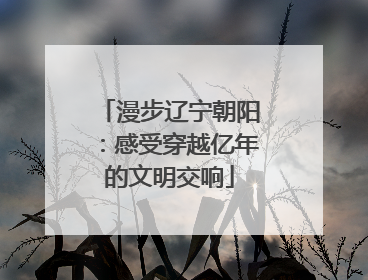 漫步辽宁朝阳：感受穿越亿年的文明交响
