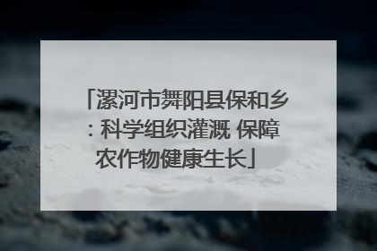 漯河市舞阳县保和乡：科学组织灌溉 保障农作物健康生长