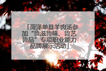 菏泽单县羊肉汤参加“鲁滋鲁味、鲁艺鲁品”专项职业能力品牌展示活动