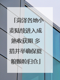 菏泽各地小麦陆续进入成熟收获期 多措并举确保夏粮颗粒归仓