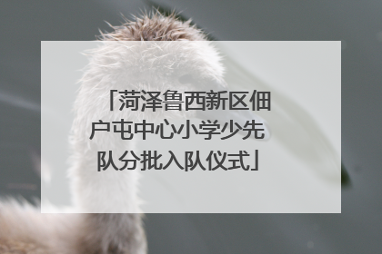 菏泽鲁西新区佃户屯中心小学少先队分批入队仪式