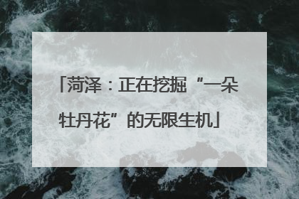 菏泽：正在挖掘“一朵牡丹花”的无限生机