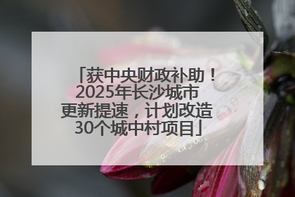 获中央财政补助！2025年长沙城市更新提速，计划改造30个城中村项目