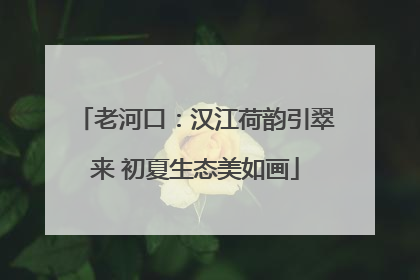 老河口：汉江荷韵引翠来 初夏生态美如画