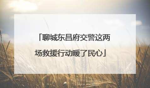 聊城东昌府交警这两场救援行动暖了民心