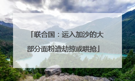 联合国：运入加沙的大部分面粉遭劫掠或哄抢