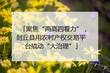 聚焦“两高四着力”，封丘县用农村产权交易平台撬动“大治理”