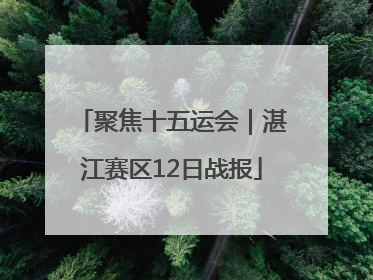 聚焦十五运会｜湛江赛区12日战报