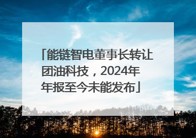 能链智电董事长转让团油科技，2024年年报至今未能发布