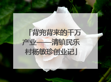 背兜背来的千万产业——清镇民乐村杨敏珍创业记