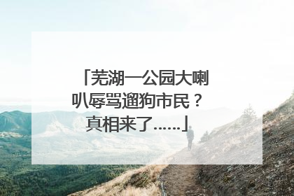 芜湖一公园大喇叭辱骂遛狗市民？真相来了……