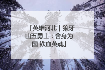 英雄河北｜狼牙山五勇士：舍身为国 铁血英魂