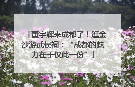 董宇辉来成都了！逛金沙游武侯祠：“成都的魅力在于仅此一份”