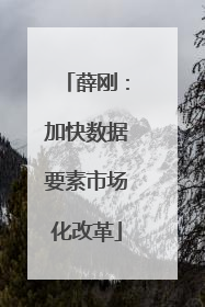 薛刚：加快数据要素市场化改革