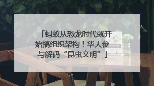 蚂蚁从恐龙时代就开始搞组织架构！华大参与解码“昆虫文明”
