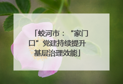 蛟河市：“家门口”党建持续提升基层治理效能