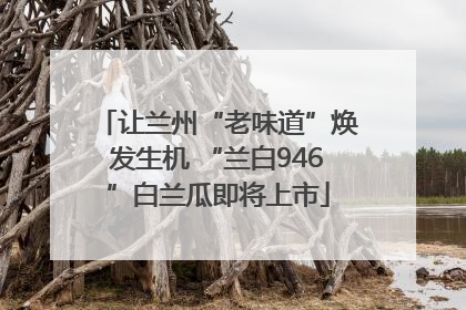 让兰州“老味道”焕发生机 “兰白946”白兰瓜即将上市
