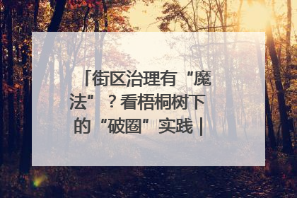 街区治理有“魔法”？看梧桐树下的“破圈”实践｜我在街区当书记