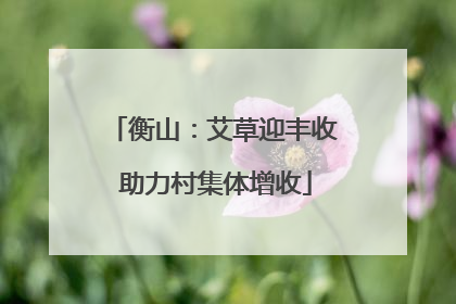 衡山：艾草迎丰收 助力村集体增收