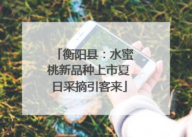 衡阳县：水蜜桃新品种上市夏日采摘引客来