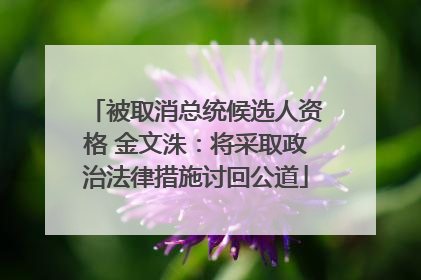 被取消总统候选人资格 金文洙：将采取政治法律措施讨回公道