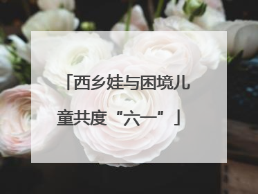 西乡娃与困境儿童共度“六一”