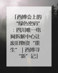 西博会上的“绿色密码”：四川唯一电网拆解中心让废旧物资“重生”｜西博寻“新”记