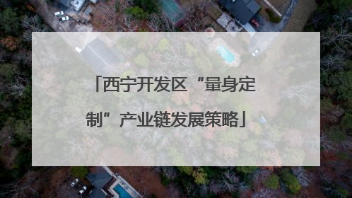 西宁开发区“量身定制”产业链发展策略