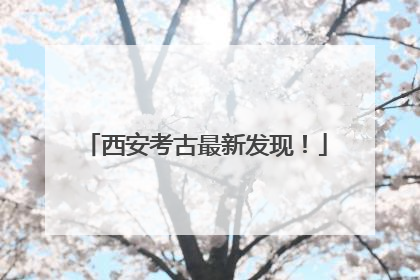 西安考古最新发现！
