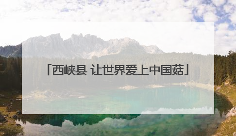 西峡县 让世界爱上中国菇