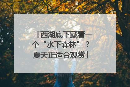 西湖底下藏着一个“水下森林”？夏天正适合观赏