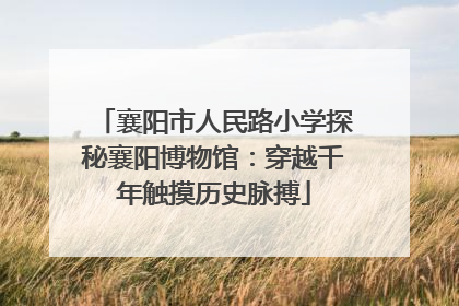 襄阳市人民路小学探秘襄阳博物馆：穿越千年触摸历史脉搏
