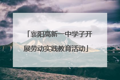 襄阳高新一中学子开展劳动实践教育活动